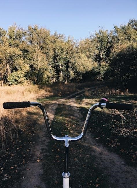 schwinn 170 upright exercise bike manual