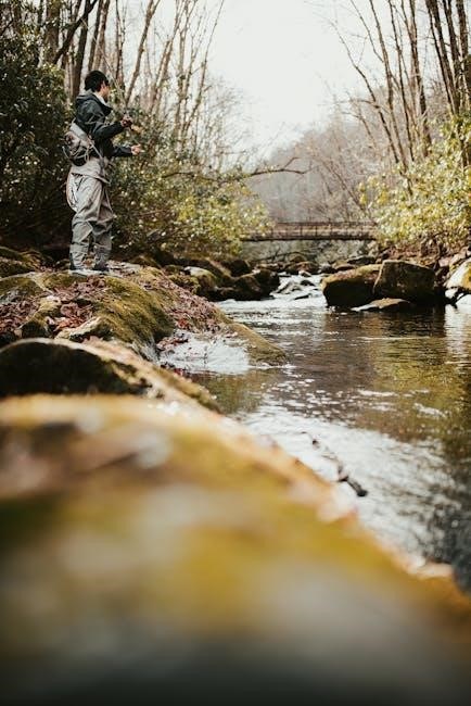 nc trout stocking schedule 2024 pdf