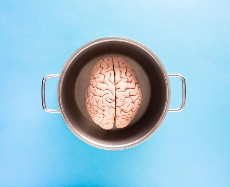 your brain on porn pdf