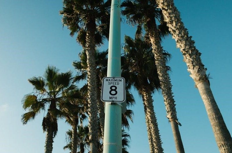 8 week speed training program pdf