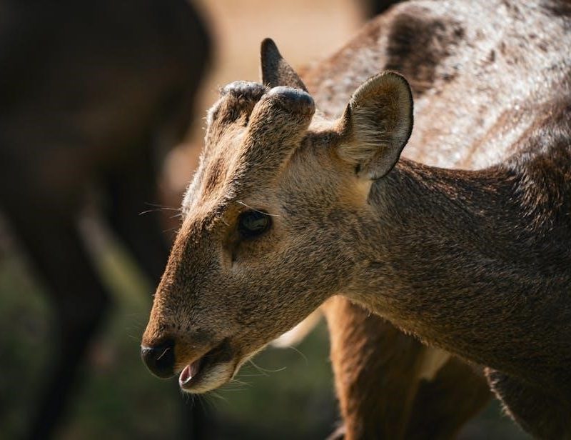 the big picture karen kearns 5th edition pdf free download