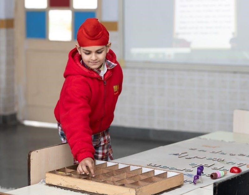 school-based occupational therapy pdf