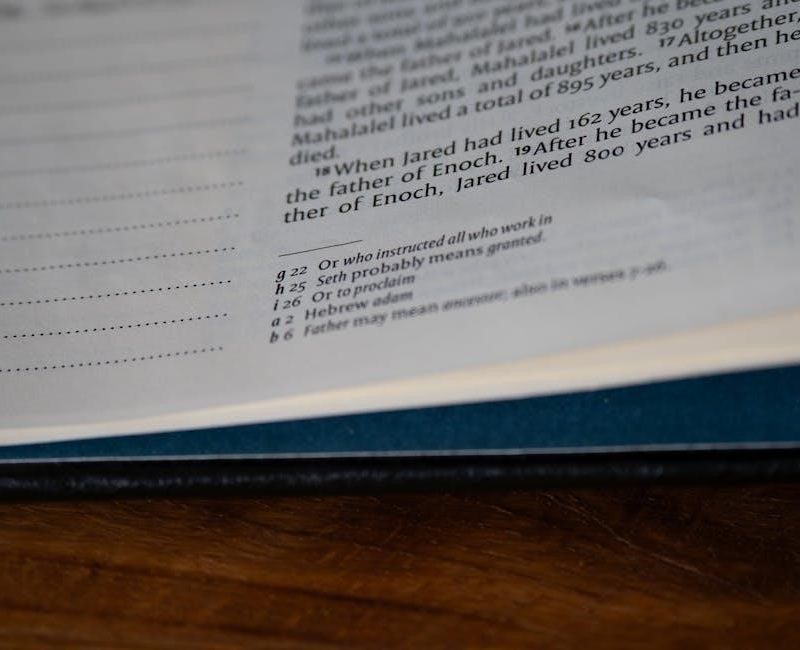 books of bible summary of each book pdf