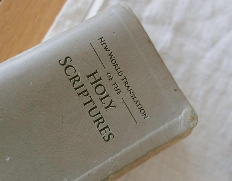 the story bible study guide pdf