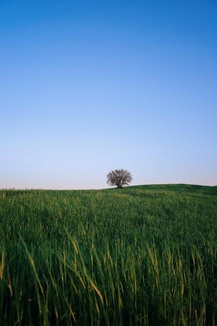 guilds of ravnica draft guide